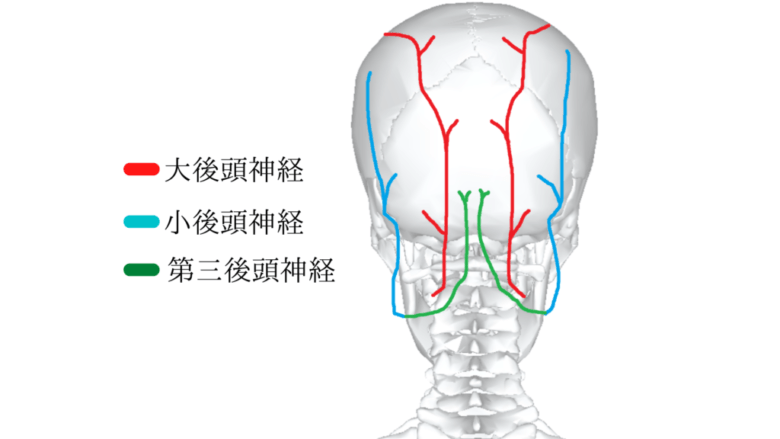 後頭神経